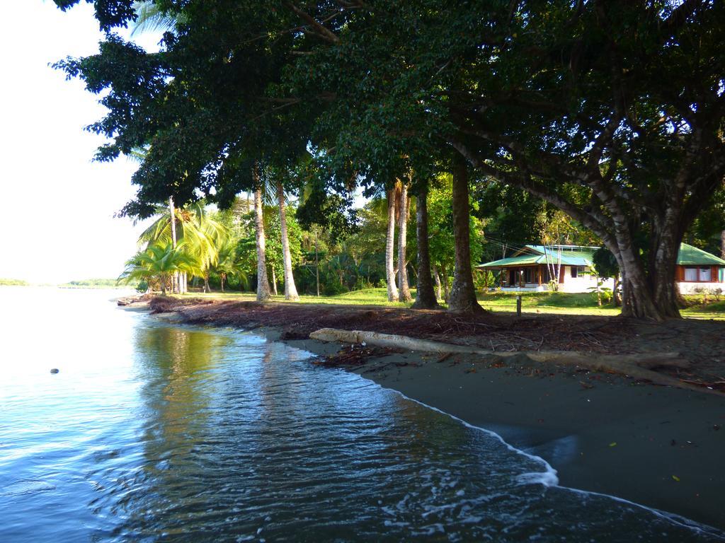 Corcovado Beach Lodge Puerto Jimenez Exterior photo
