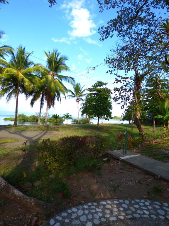 Corcovado Beach Lodge Puerto Jimenez Exterior photo