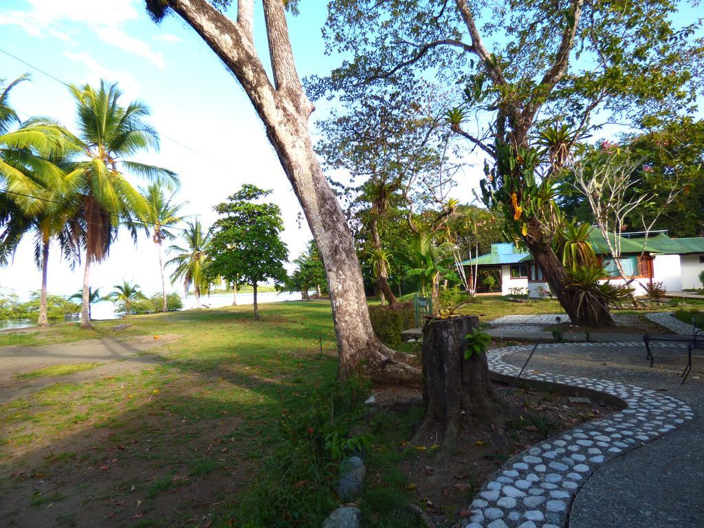 Corcovado Beach Lodge Puerto Jimenez Exterior photo