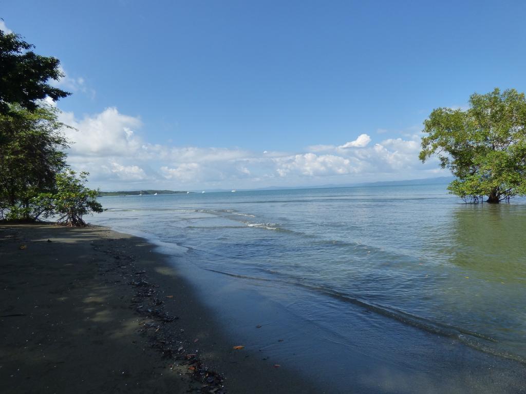 Corcovado Beach Lodge Puerto Jimenez Exterior photo