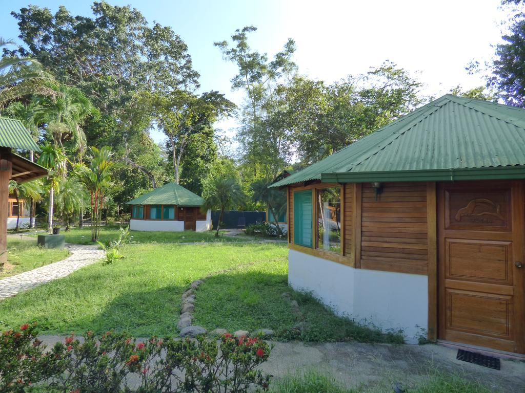 Corcovado Beach Lodge Puerto Jimenez Exterior photo